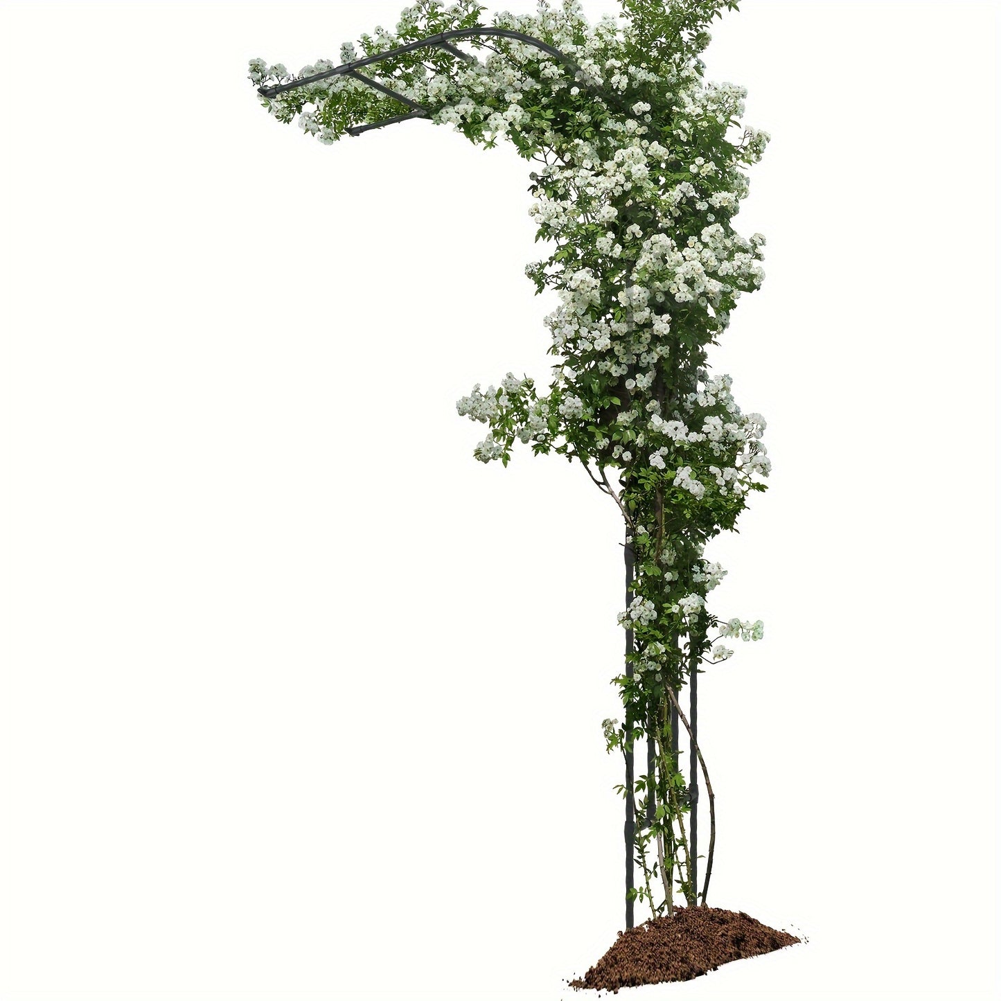 Black Metal Garden Arch Trellis For Climbing Plants Outdoor
