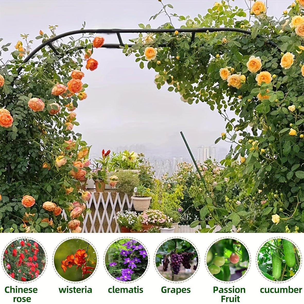 Grape And Cucumber Trellis For Raised Beds U Shape Arch