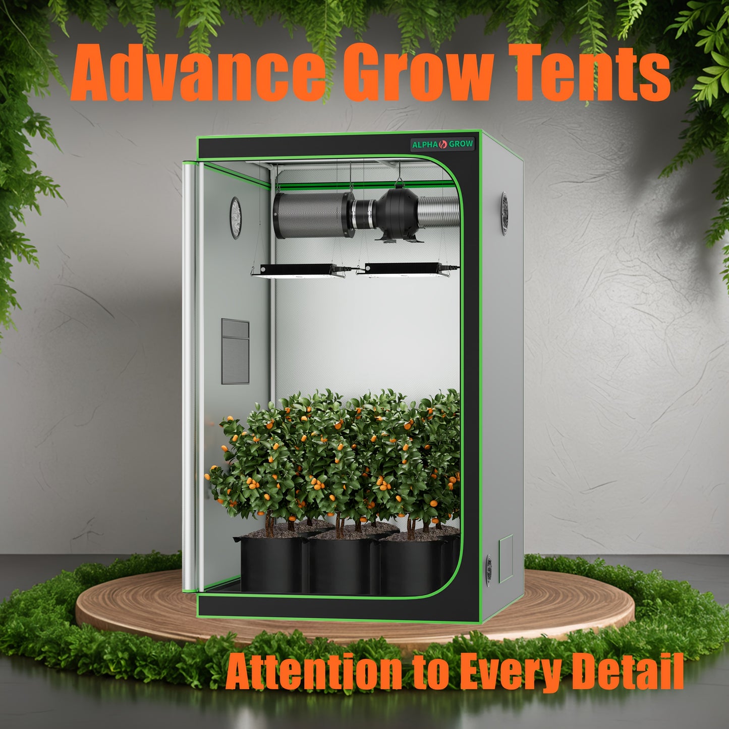 Alphagrow Portable Grow Tent 2x2 3x3 4x4ft Heavy Duty