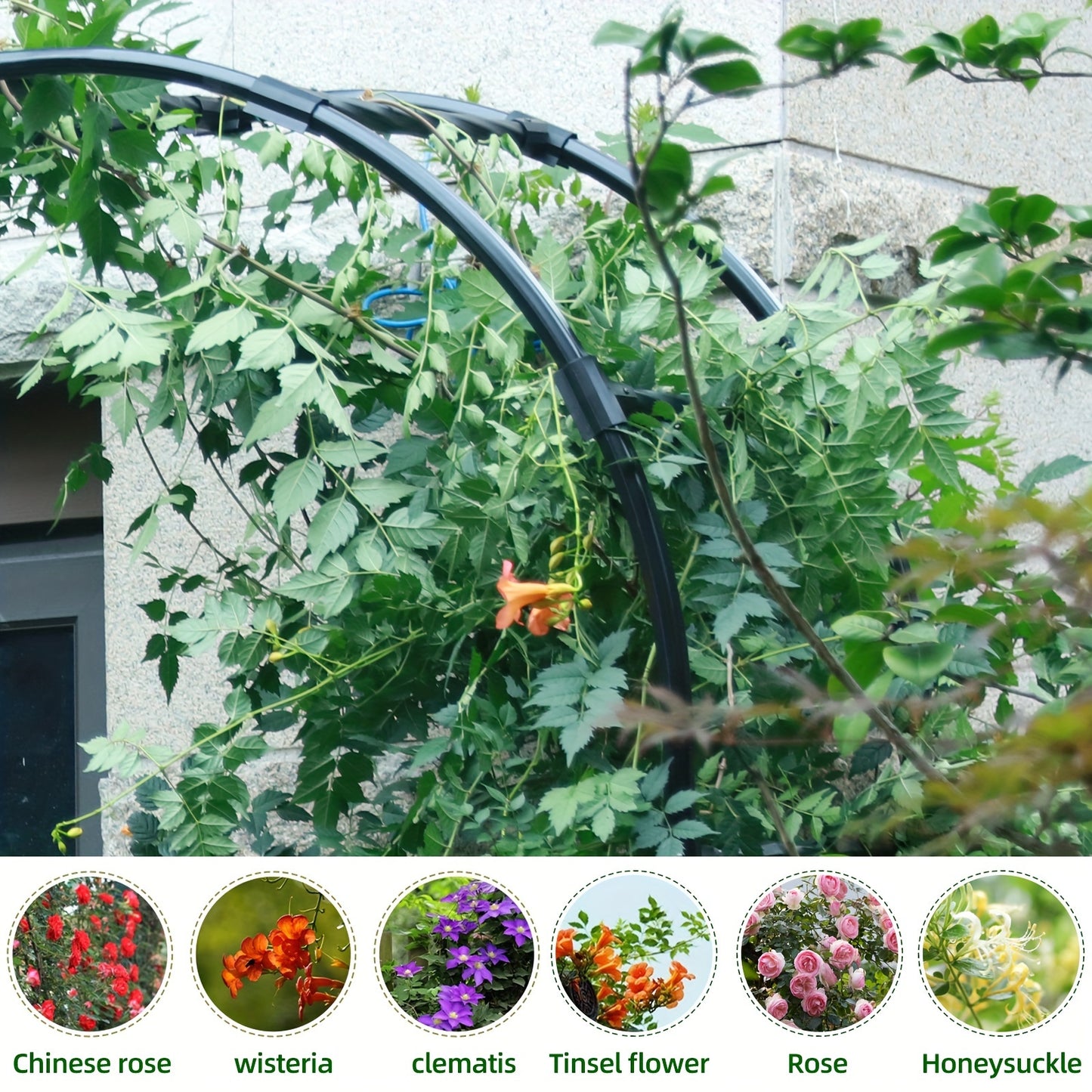 Black Metal Garden Arch Trellis For Climbing Plants Outdoor