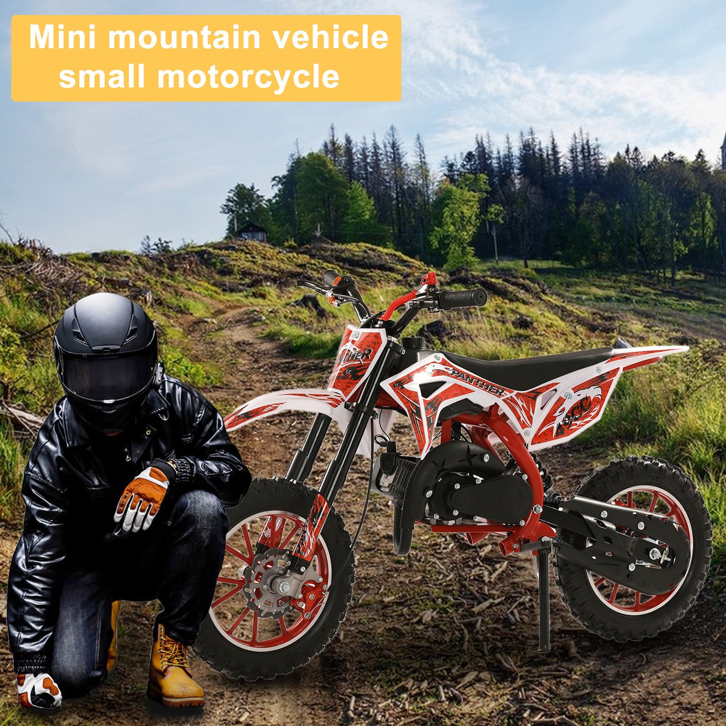 Gas-Powered Red 49cc 2-Stroke Kids Mini Motocross Bike