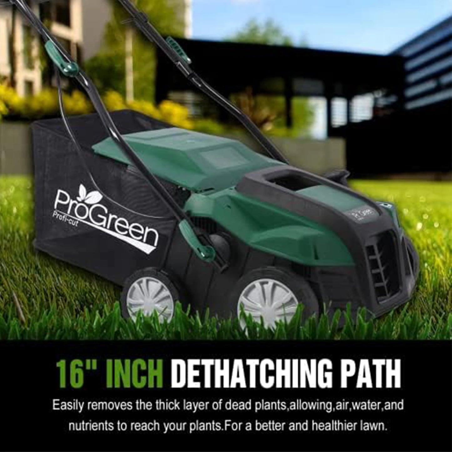 2-in-1 Electric Lawn Scarifier and Dethatcher with Bag