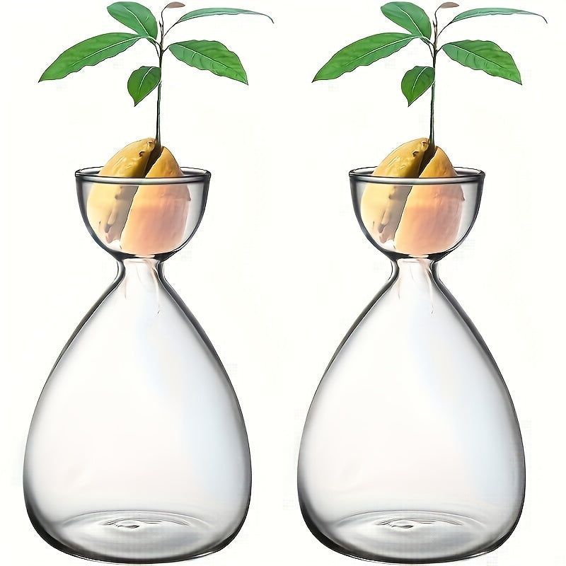 Small Glass Vase Tree Kit for Gardening Holiday Gifts