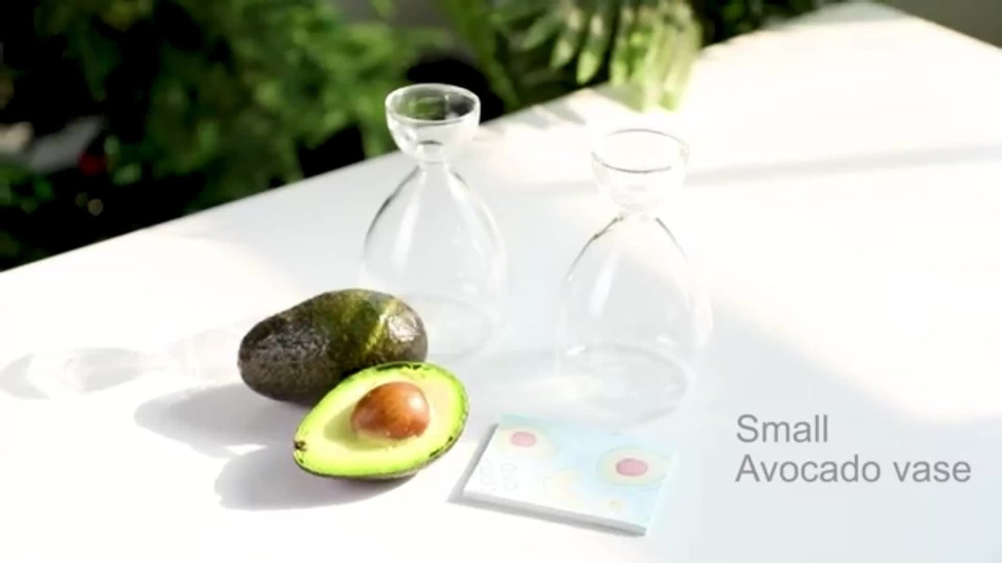 Small Glass Vase Tree Kit for Gardening Holiday Gifts