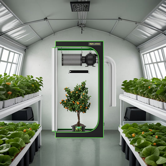 Alphagrow Portable Grow Tent 2x2 3x3 4x4ft Heavy Duty